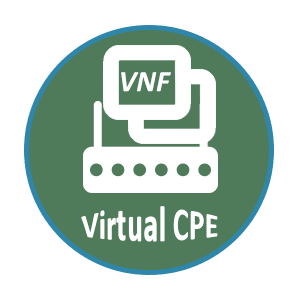 NFV Solutions: Virtual CPE